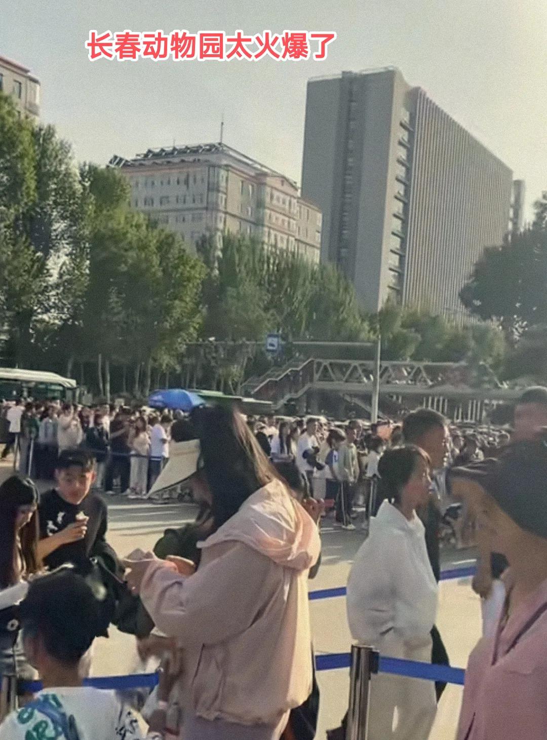 现如今长春节假日接待游客数量高于沈阳、哈尔滨，很多人会误以为长春是将去长白山的游
