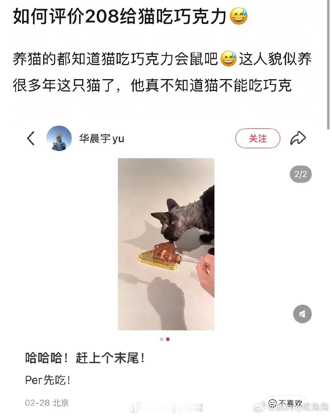 华晨宇喂猫吃巧克力蛋糕华晨宇给猫吃巧克力被质疑 华晨宇喂猫吃巧克力蛋糕，华晨宇自