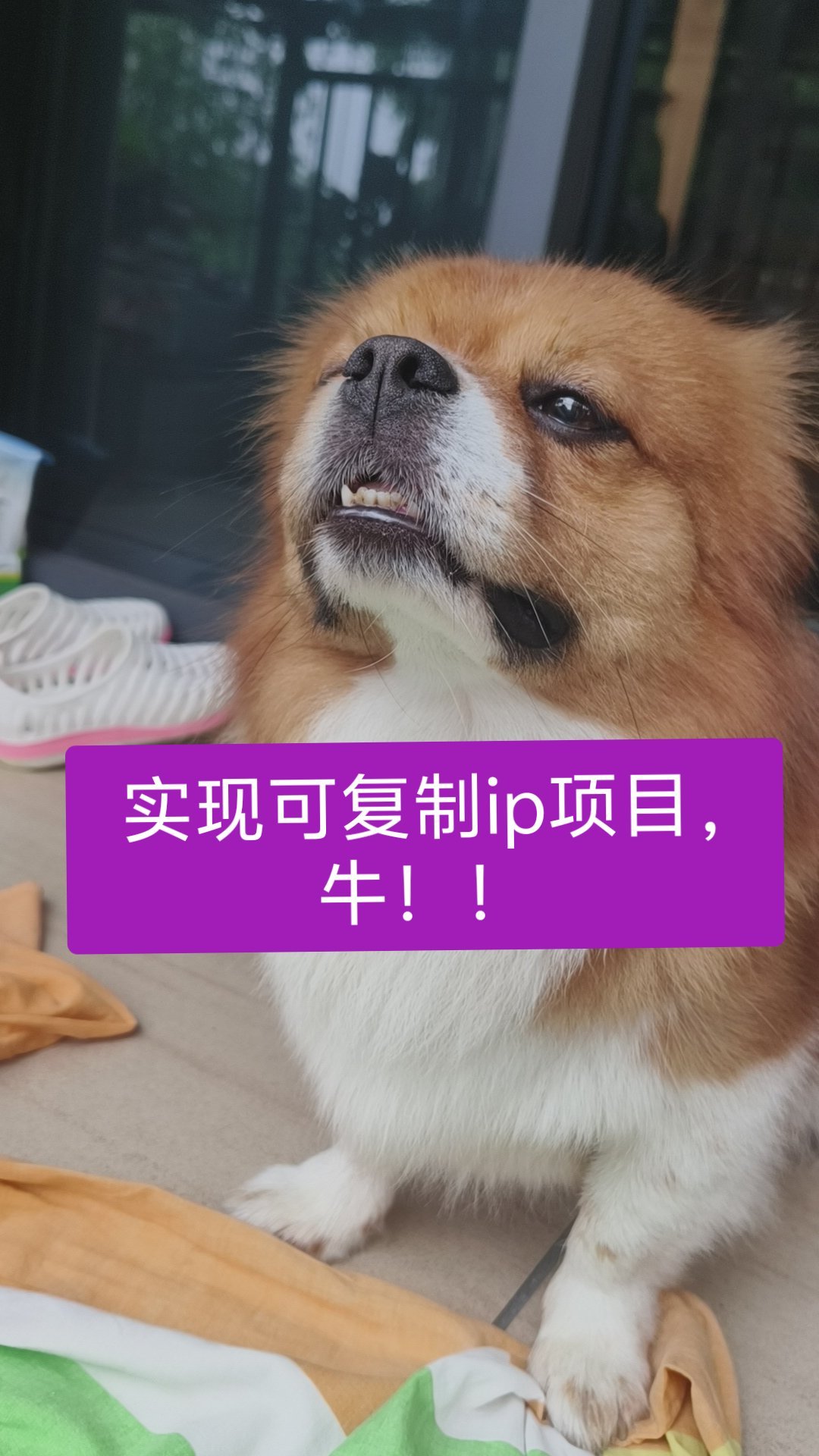 被长期主义的消费观震惊到了 说啥呢说啥呢，我也有我也有1.男朋友是十年前的2.偶
