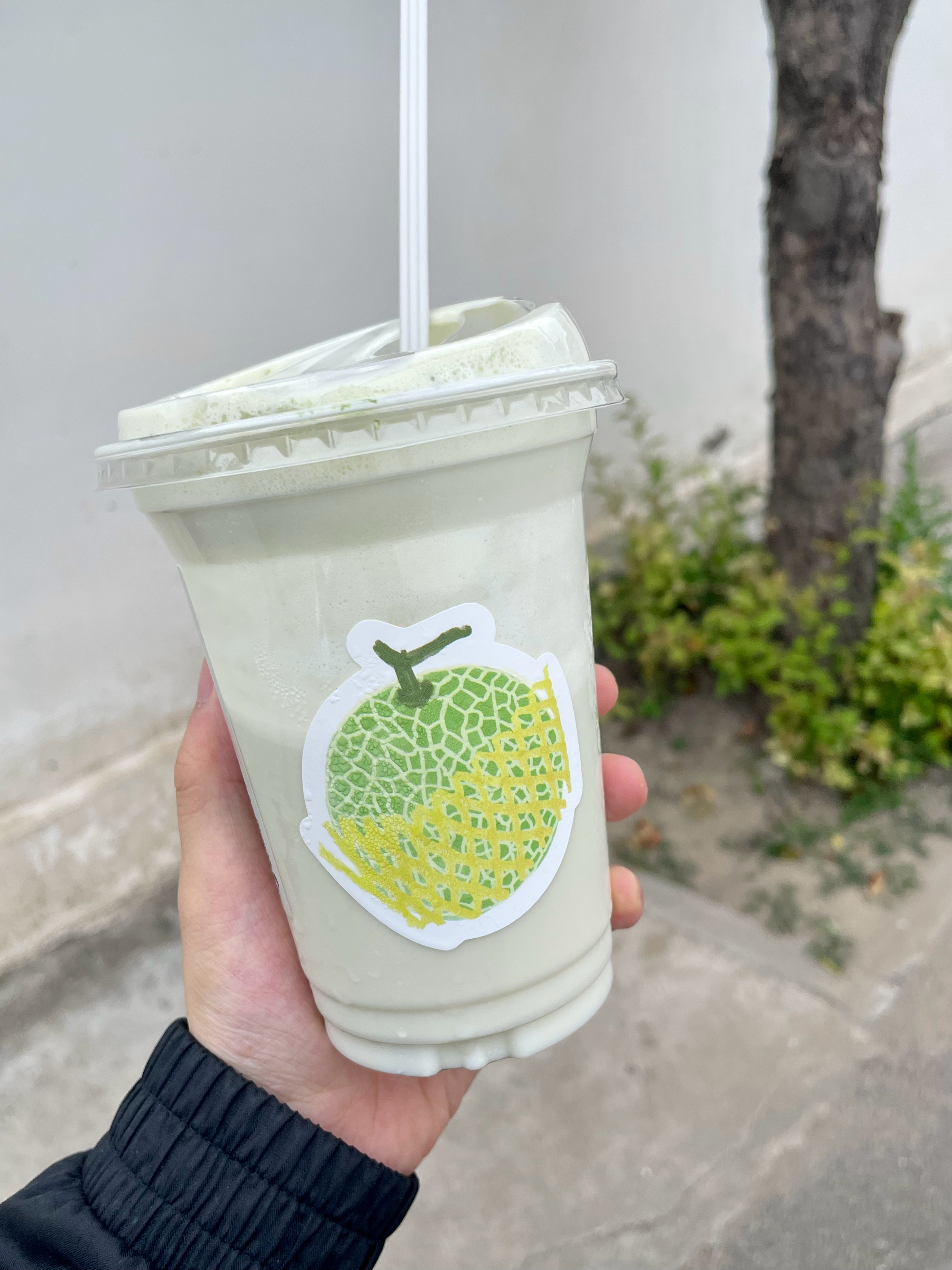 世界倒数第一不爱喜茶之人 