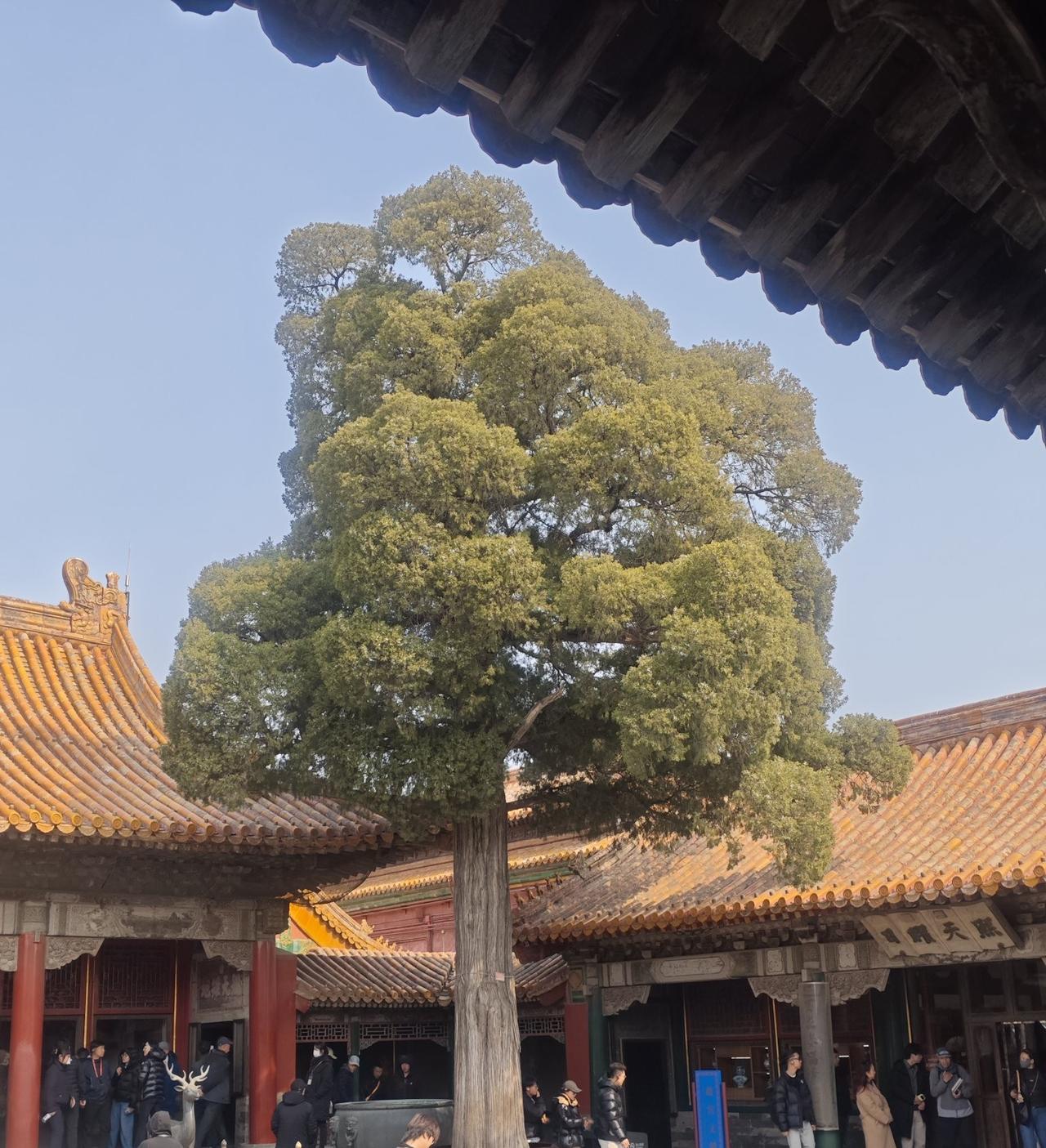 如果不缺钱，你还会工作吗肯定会啊，不过要找个自己喜欢的事做，人是不能闲的