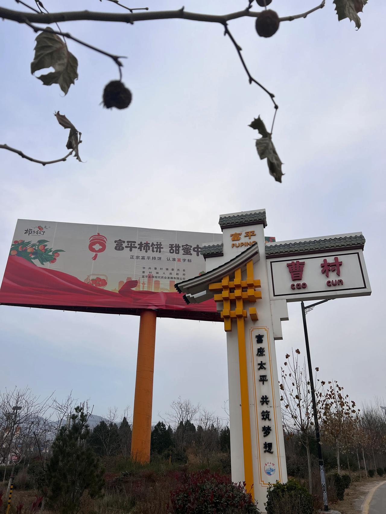 最近很多朋友私下咨询富平柿饼的问题，建议大家不要着急盲目下单，昨天专门去实地富平