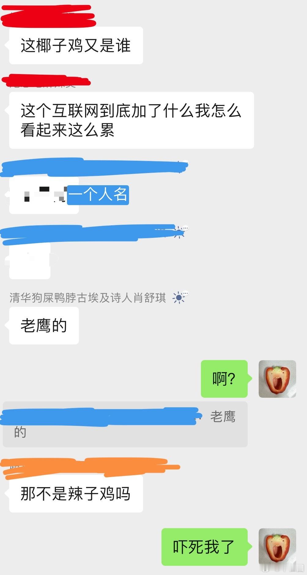到底是什么鸡。 