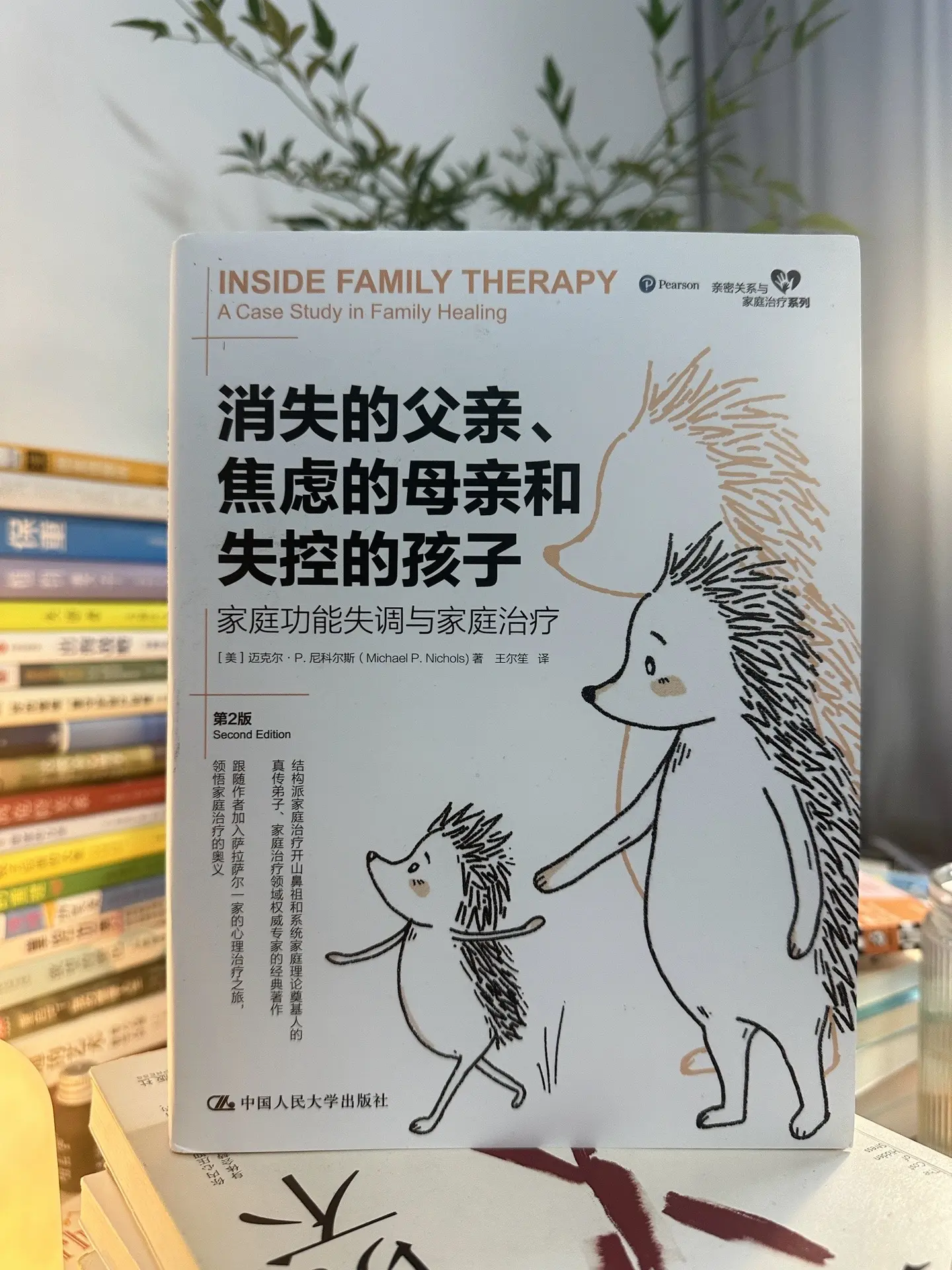 消失的父亲， 焦虑的母亲， 失控的孩子…