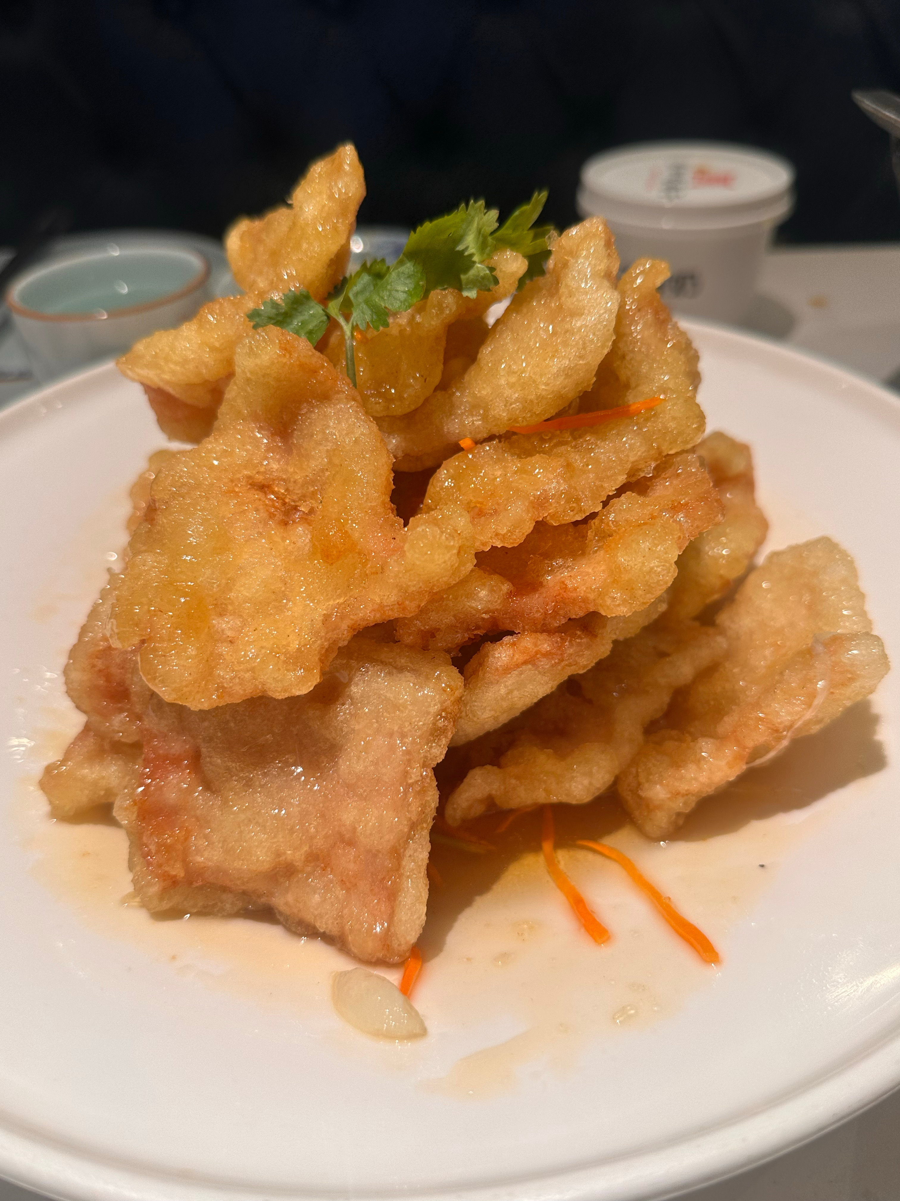 燕郊烧鸽子好好吃🤤在地铁上看小说看哭了😋 ​​​