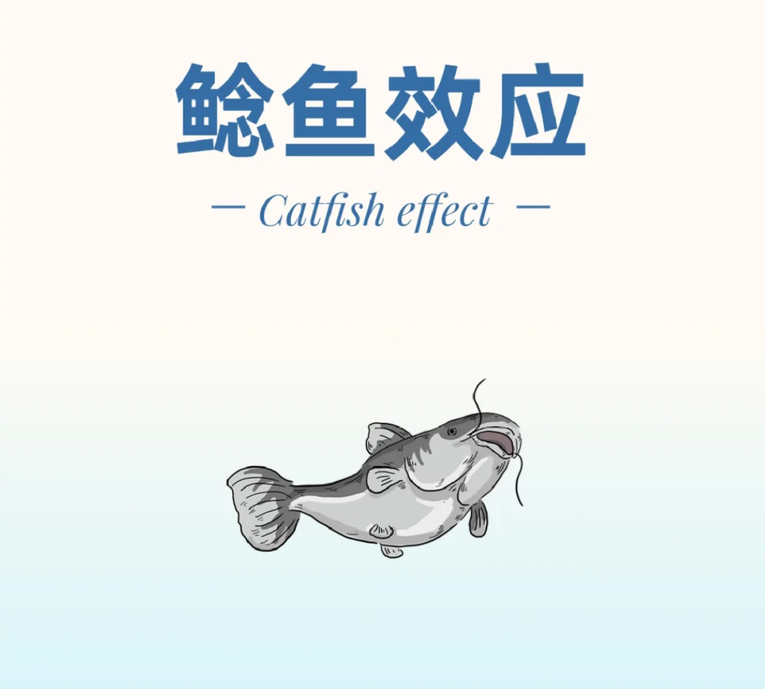 鲶鱼效应——激活群体的竞争，来刺激每个个体。这个词从小米创办之初，就一直围绕着这