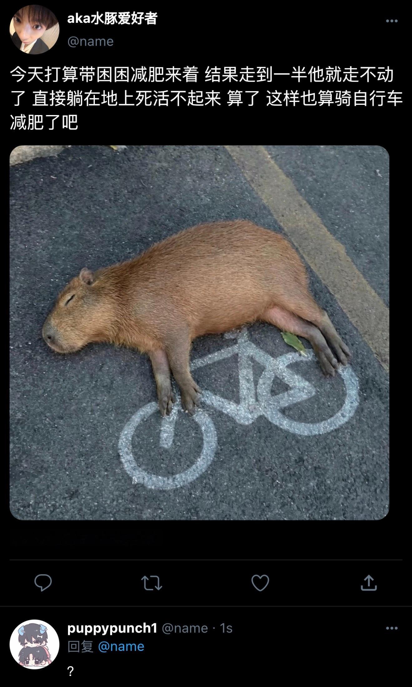 橹穆  🫐 橹穆产出pk地区娱乐赛 📱《你的豚子已就位》02水豚化形橹x无孩