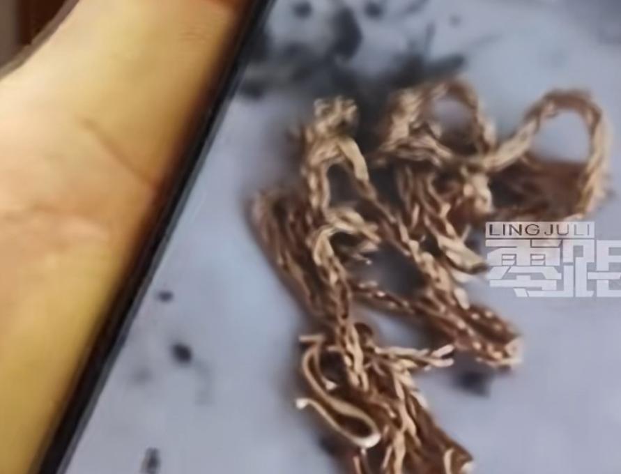 “太过分了！”邻居捡到金项链后特意拍照留证才交给保安，失主拿着照片去讨要，保安竟