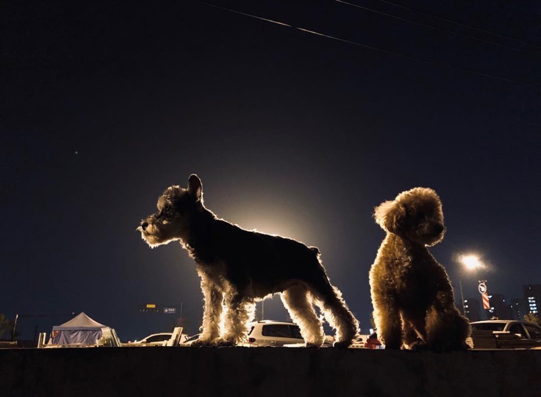 如果没有你。 我一定会变成支宁。没有别的爱。 