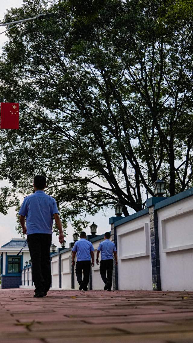 警苑 | 老朴树下，门里门外同一轮月