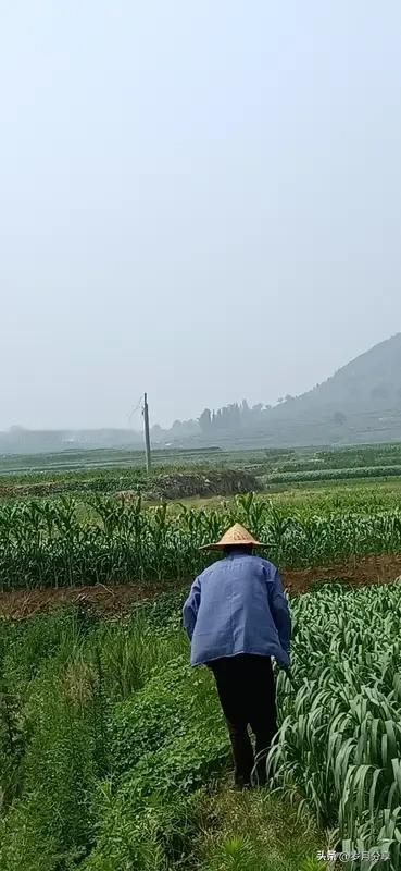 有一些人说农村老人有一亩三分地，饿不死，不需要涨养老金，每月领一百多元养老补贴就