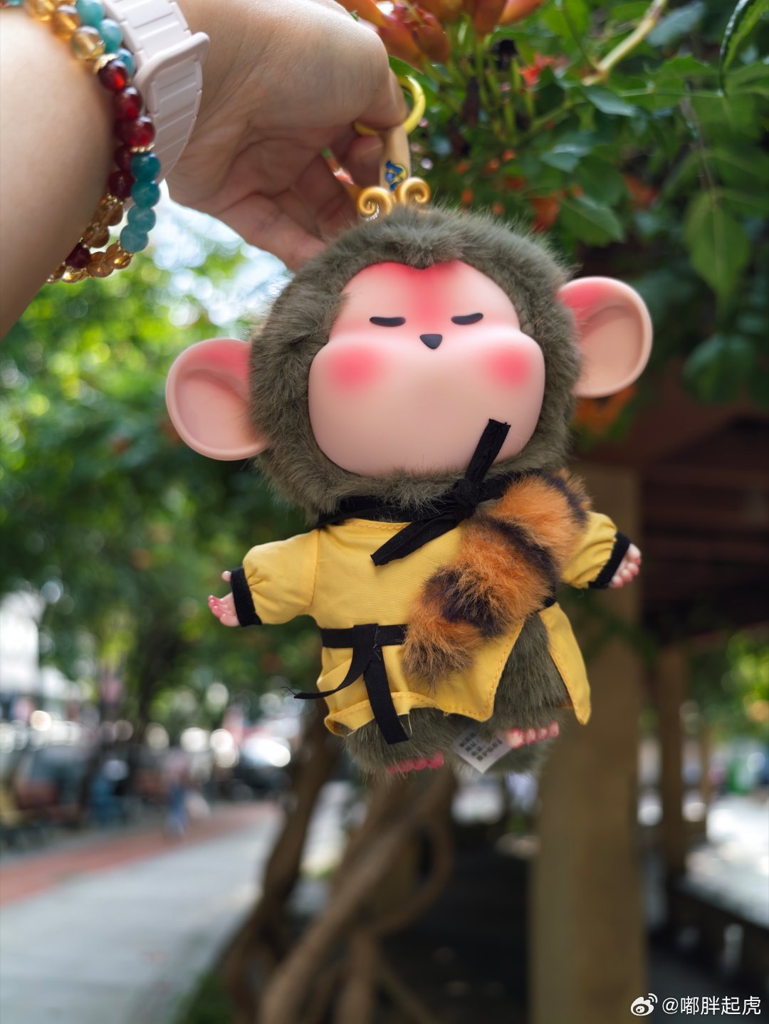 你这泼猴，跟为师会家