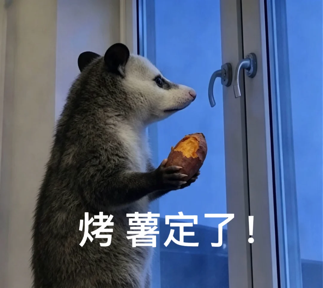 howto｜食物谐音梗（负鼠版）