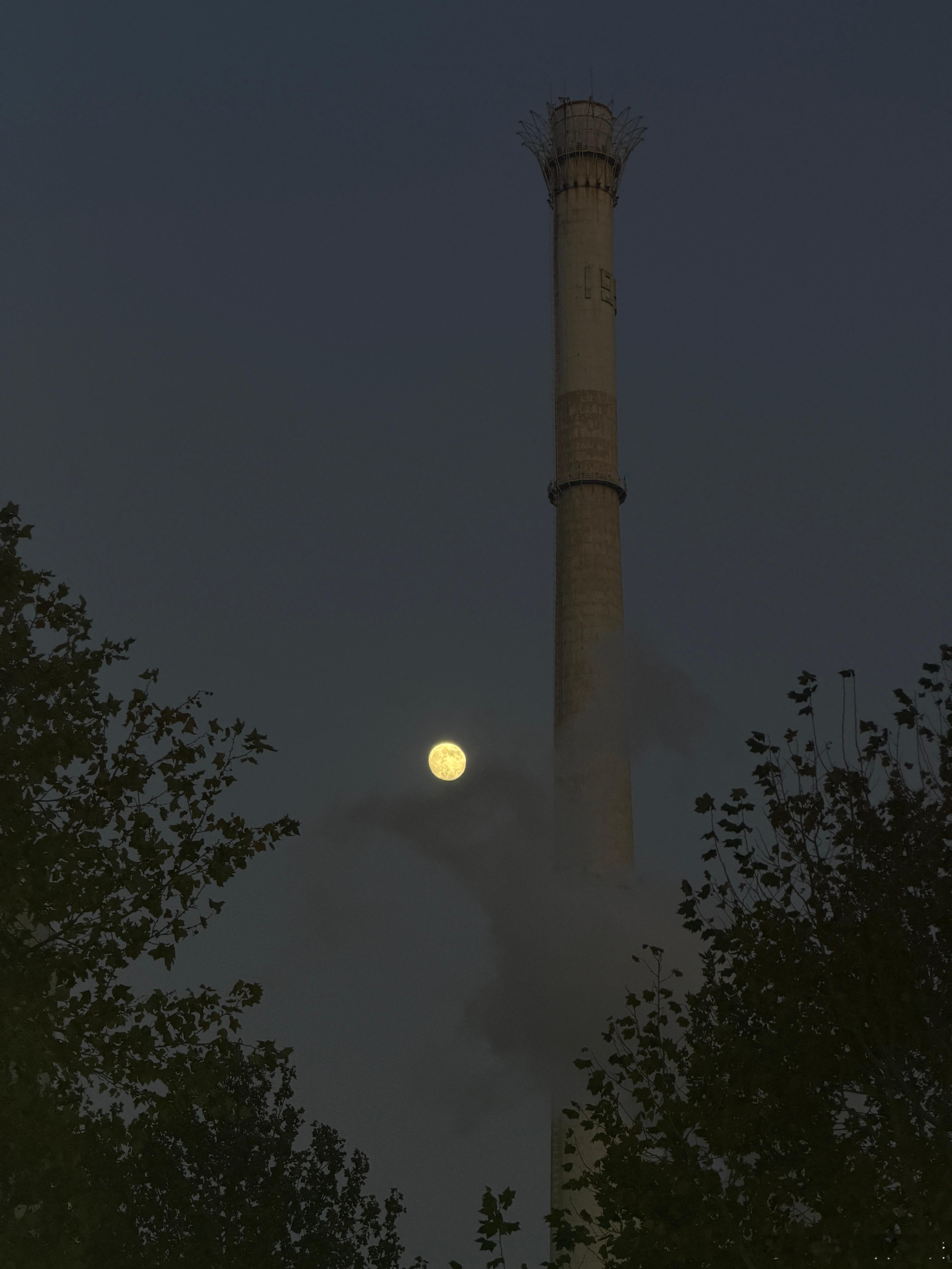 生活中，变数总是不期而至。而锚点，是在这片“变”的海里，给你几个“不变”的落脚点