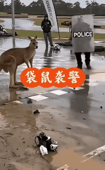 真没有想到，一个小小的袋鼠，居然有这么大的爆发力，一个如此强壮的人，而且是一个拿