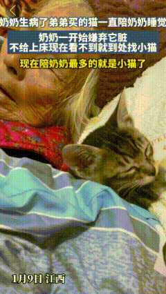 江西，一奶奶生病了，弟弟买的猫咪一直陪着奶奶睡觉，奶奶一开始嫌弃它脏，不让上床，