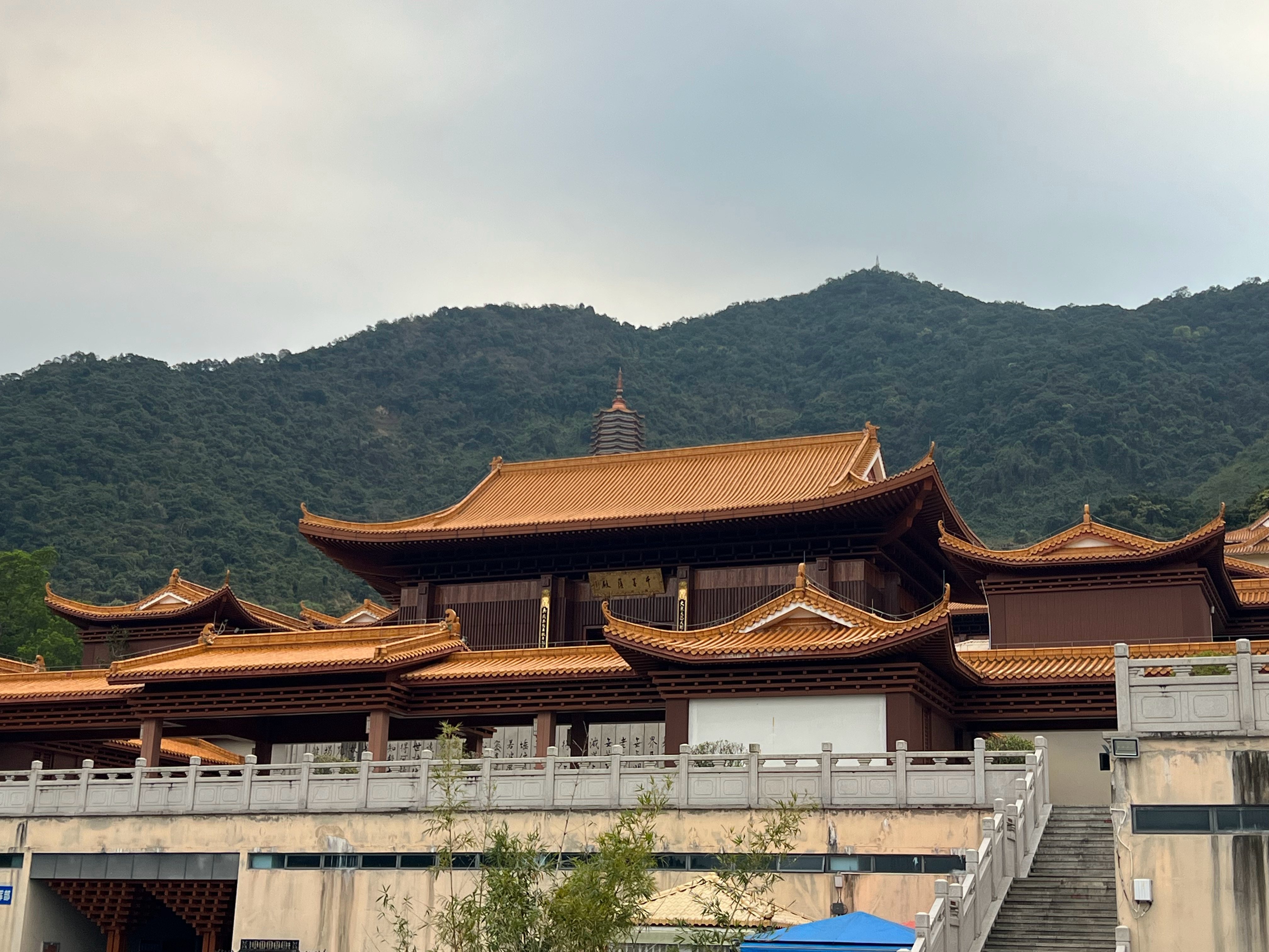 生活从不会亏待用心生活的人，会善待每一个认真付出的人。认真工作，认真生活，认真爱