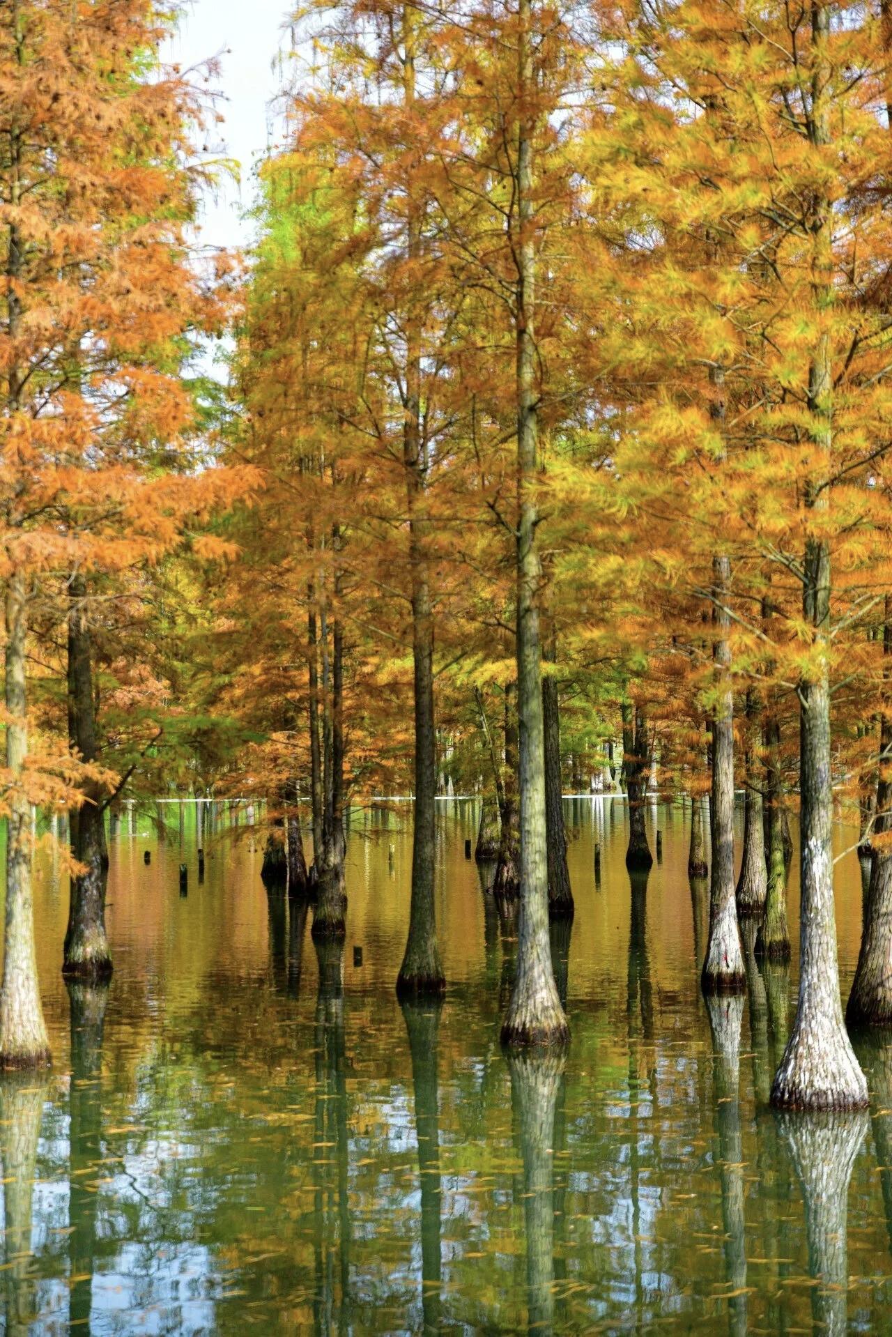 【人生，就是一连串的教训，问题是，你给别人的教训，还是别人给你的教训】
    