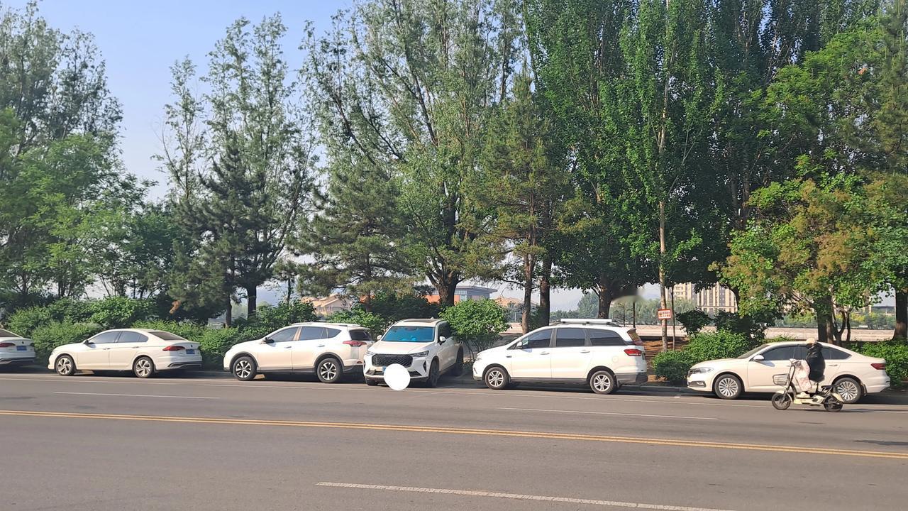 交警这样停车违法吗？