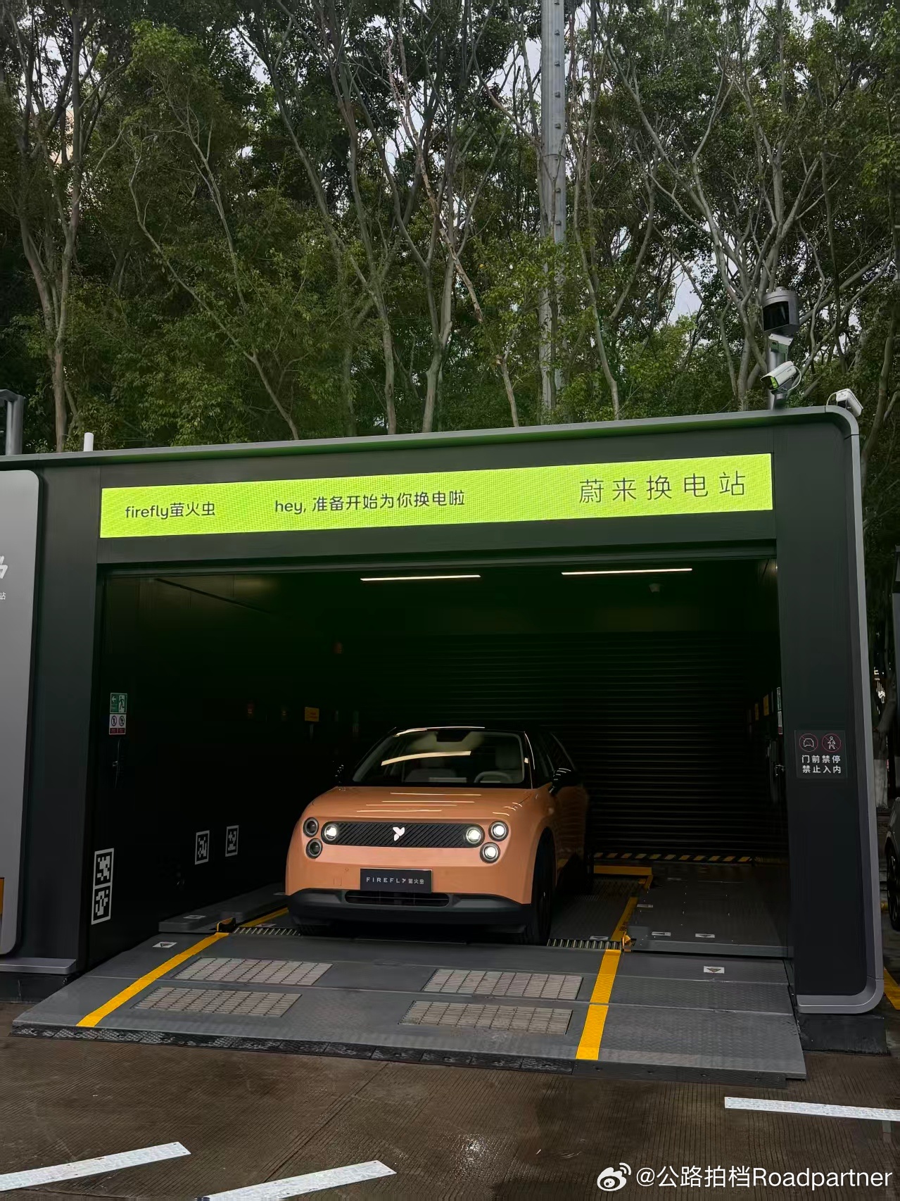 来喽，来喽firefly萤火虫