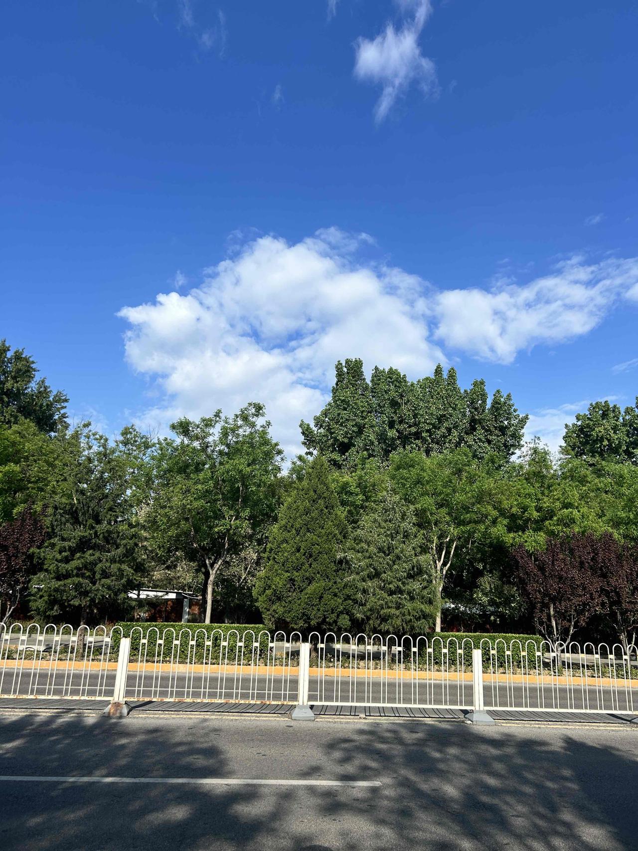 阳光明媚，天蓝云白；气温在12-22度之间，不冷不热，十分宜人；空气质量上乘（A