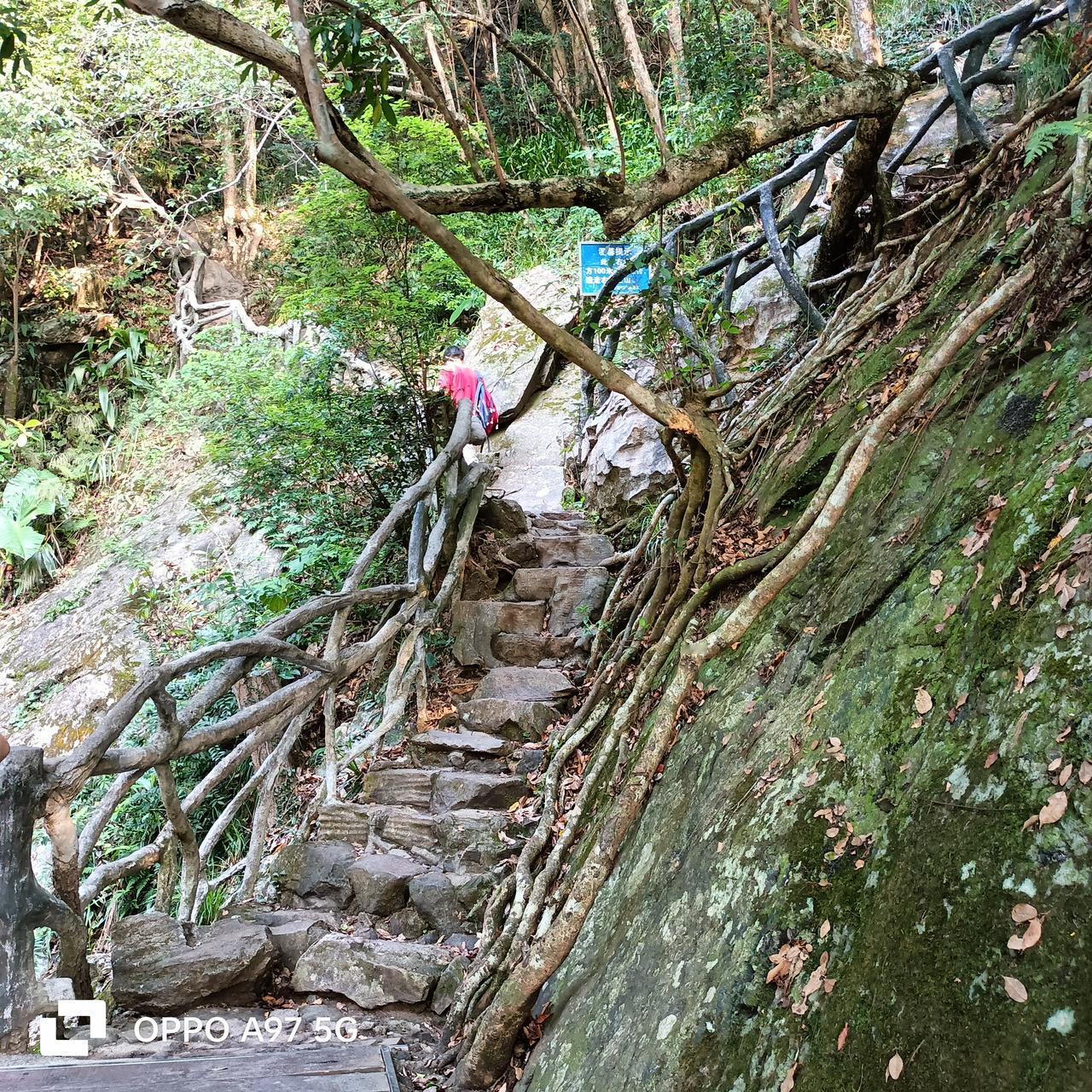 今天我一个人爬梧桐山，上山走盘山公路，下山走泰山涧，腿很疼啊，爬梧桐山太累了，台