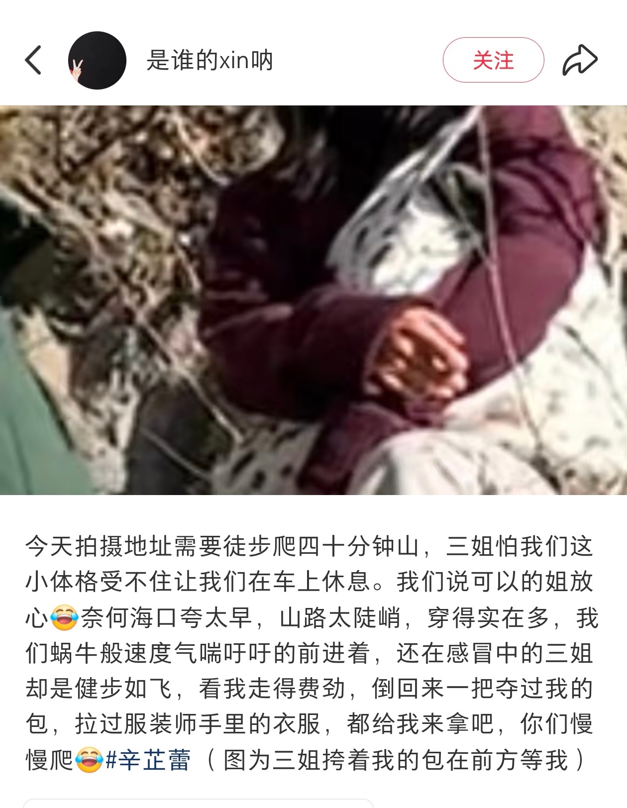 辛芷蕾助理小号 从文字上能看出来她的助理都要爱上她了，这工作氛围感真是狠狠羡慕了