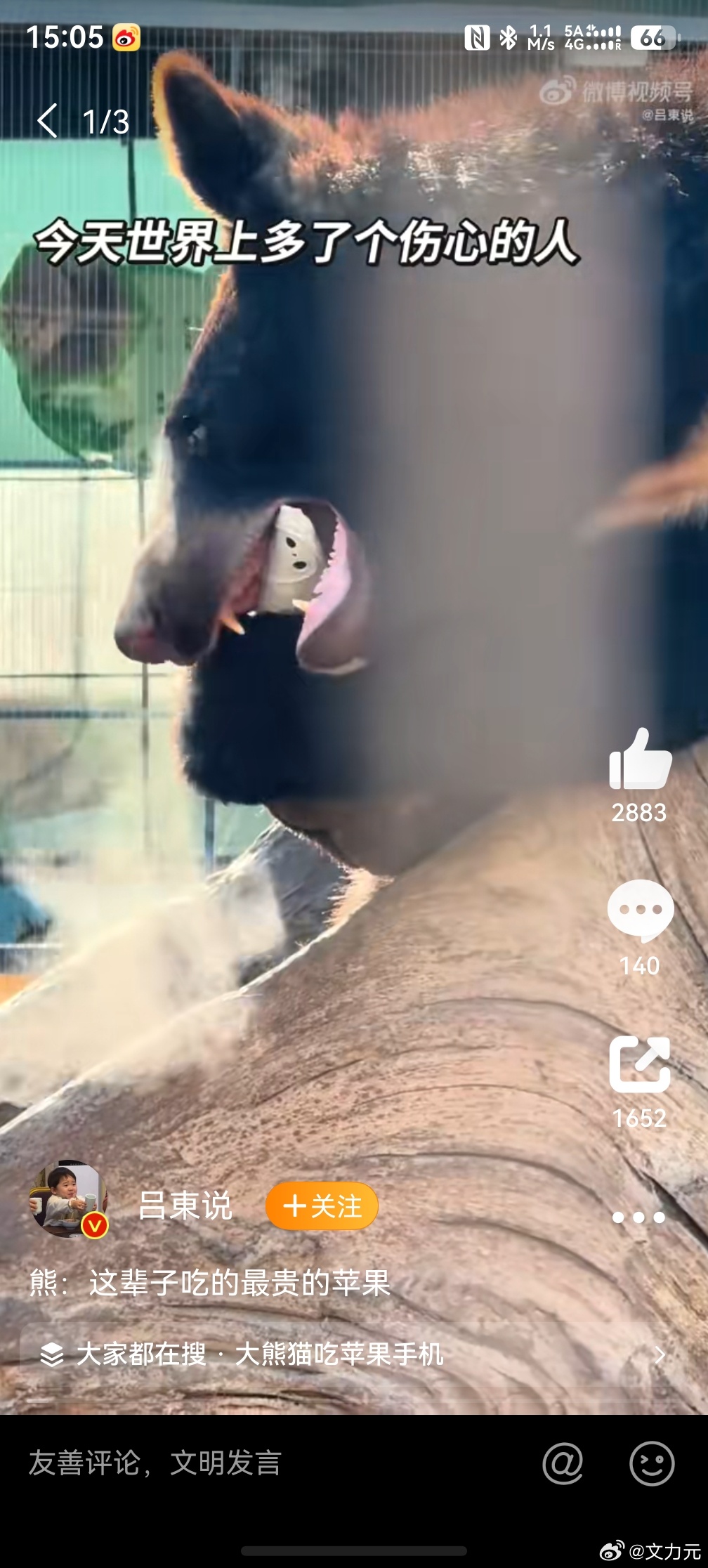 熊 这辈子吃的最贵的苹果，没点开话题，我就猜到了，可能吃的是苹果手机，话说这玩意