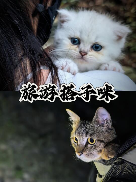 黟县的生态是真的好