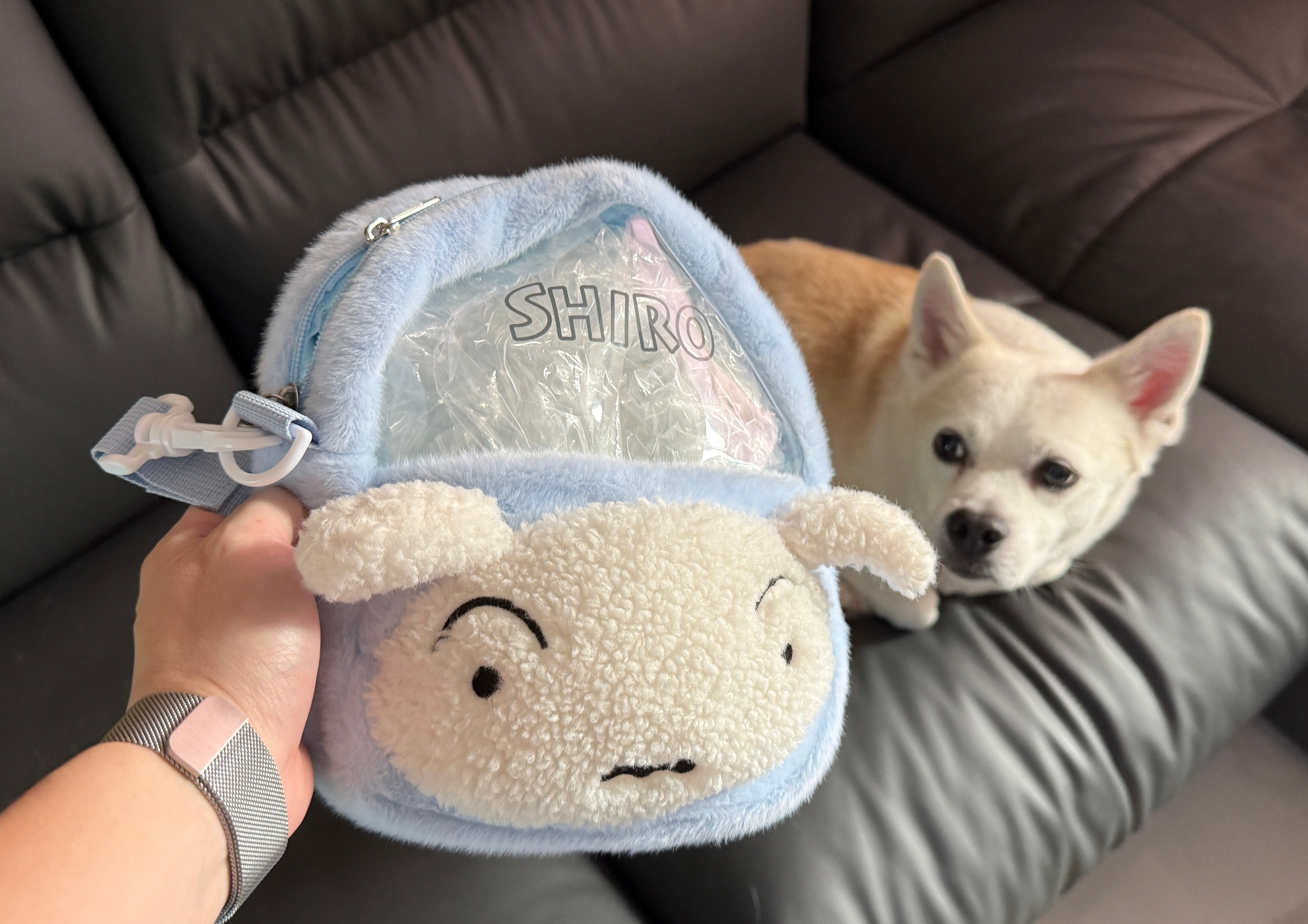 由于今天发什么都像在开玩笑所以母鸡放个假！【评论区留言】分享今天或者过往愚人节 