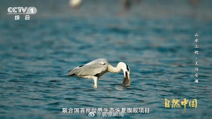 中国这项山水工程成世界范例联合国3个词为中国方案点赞 联合国三大赞誉实至名归！1