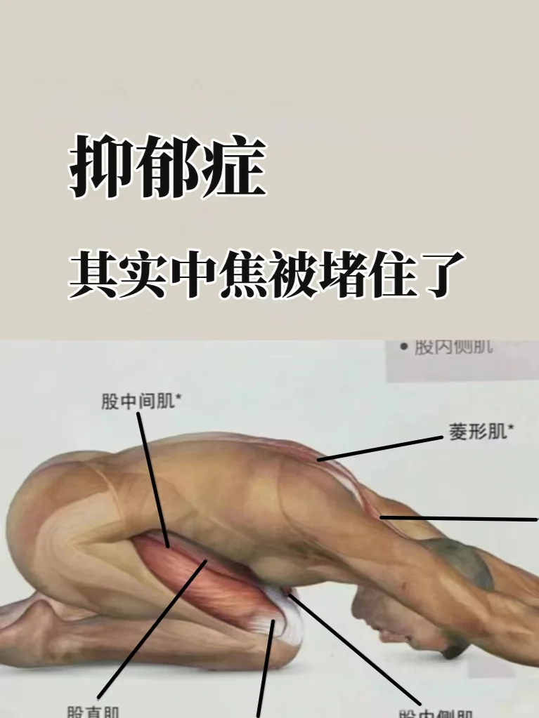 中焦阴毒不除，抑郁症也就去不了根