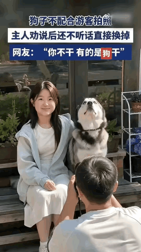 “你不干，有的是狗干”怎么觉得这句话，是在暗搓搓的内涵什么呢？

起因是一位摄影