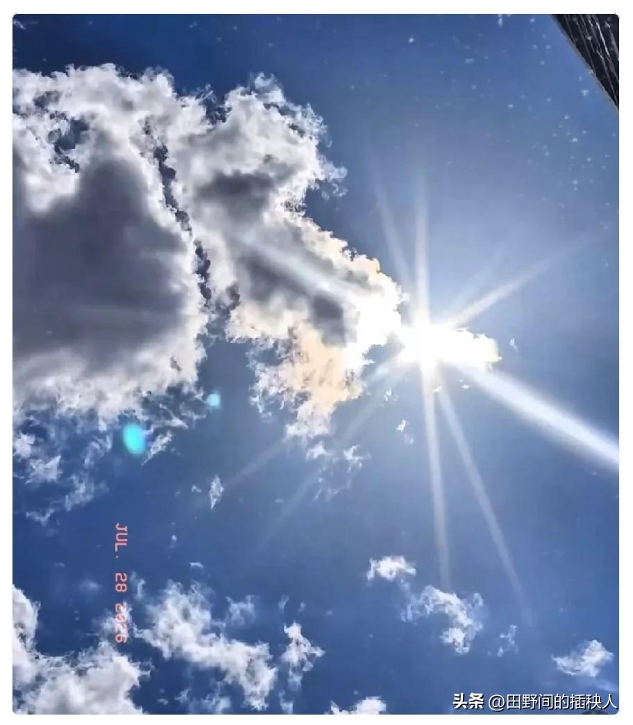 提前通知一下，
大家好有个心理准备，
今天7月28日就正式进入中伏第四天了。
