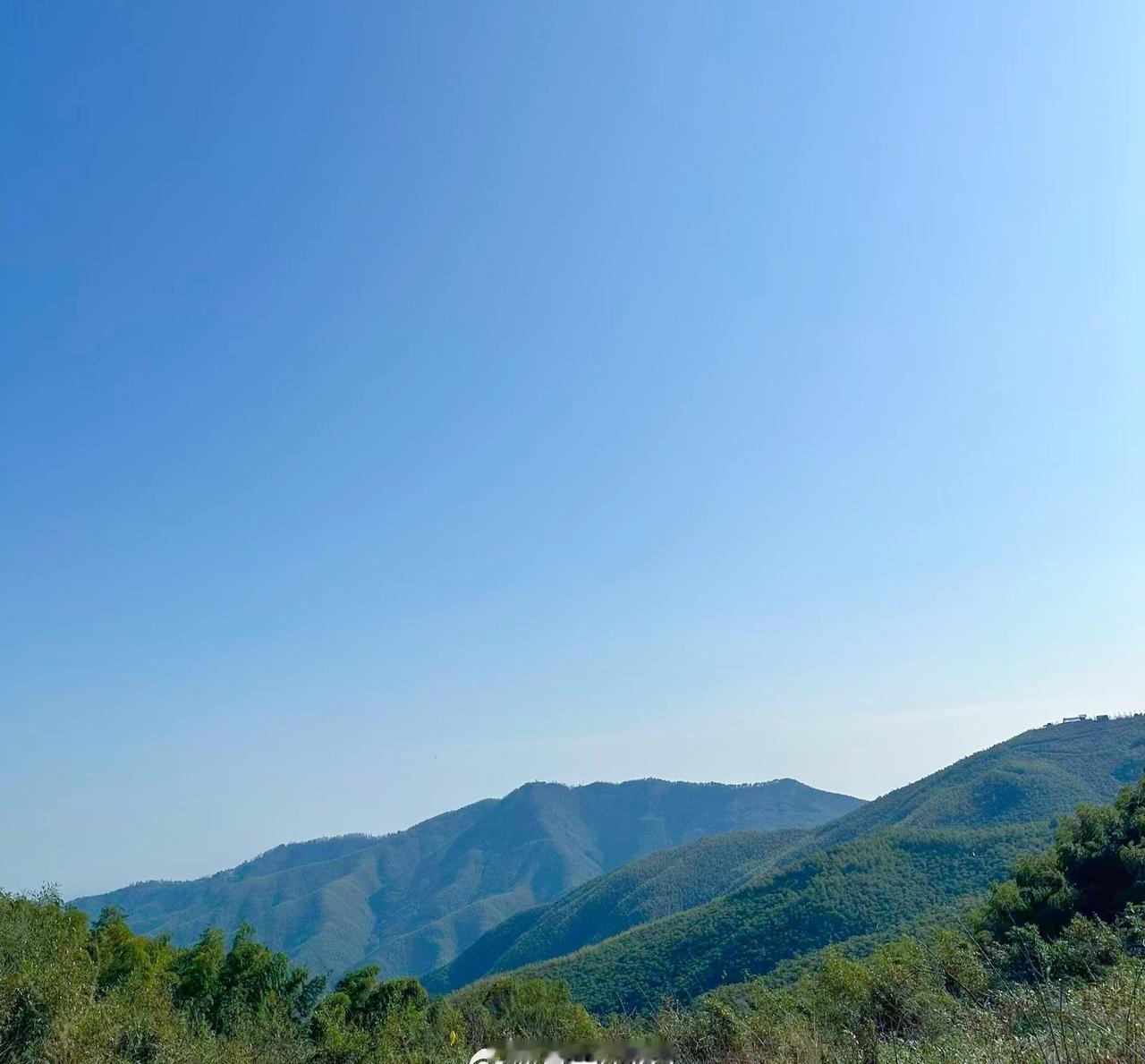 让一切自然生长，不必刻意规划，不必强求结果。只依循心底最澄澈的直觉去经历、去感受