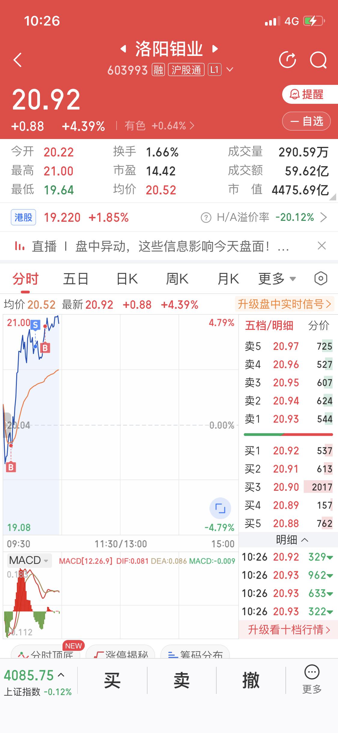 目前全仓单吊一只洛阳钼业
早盘做了个T
本来还可以多赚点
结果突然拉升
MACD