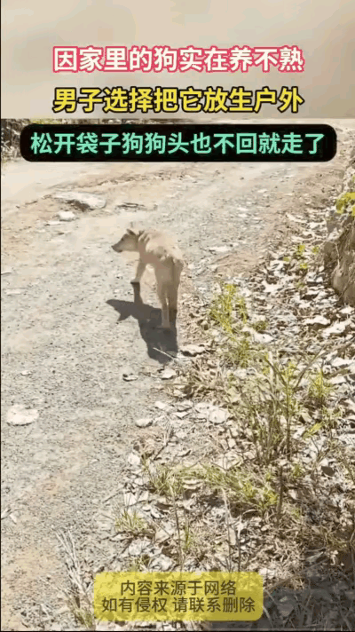 河南，一男子发现自家狗怎么都养不熟，就把狗装进麻袋带到户外放生，结果狗狗钻出袋子