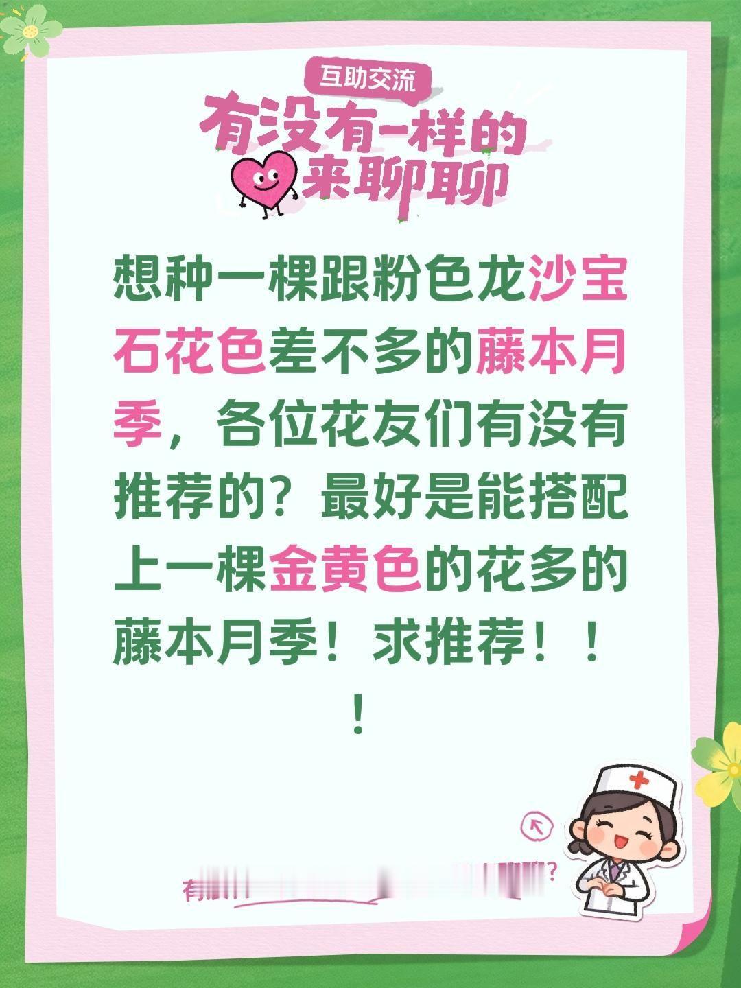 想种一棵跟粉色龙沙宝石花色差不多的藤本月季，各位花友们有没有推荐的？最好是能搭配
