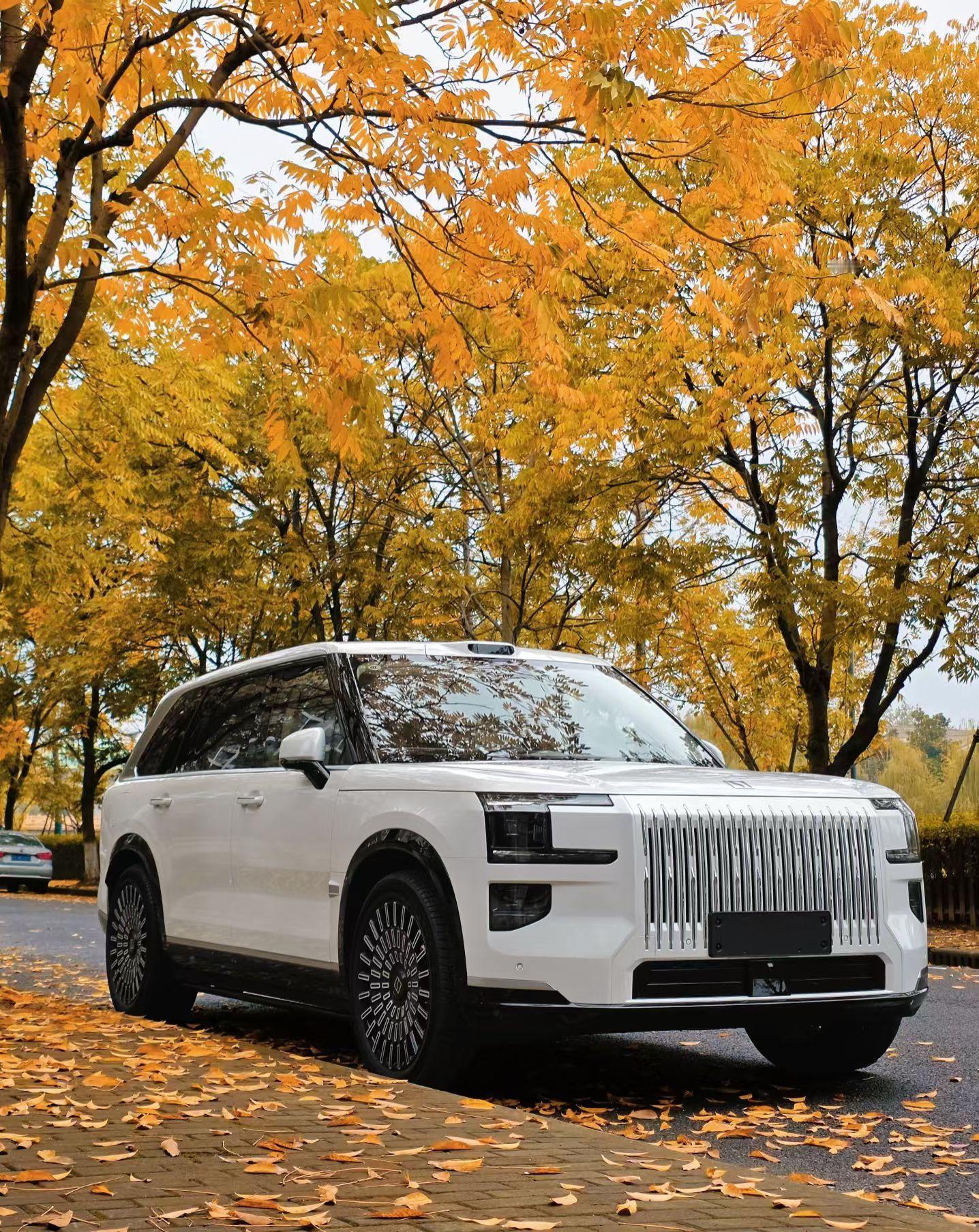 美极啦🥰真漂亮大气 