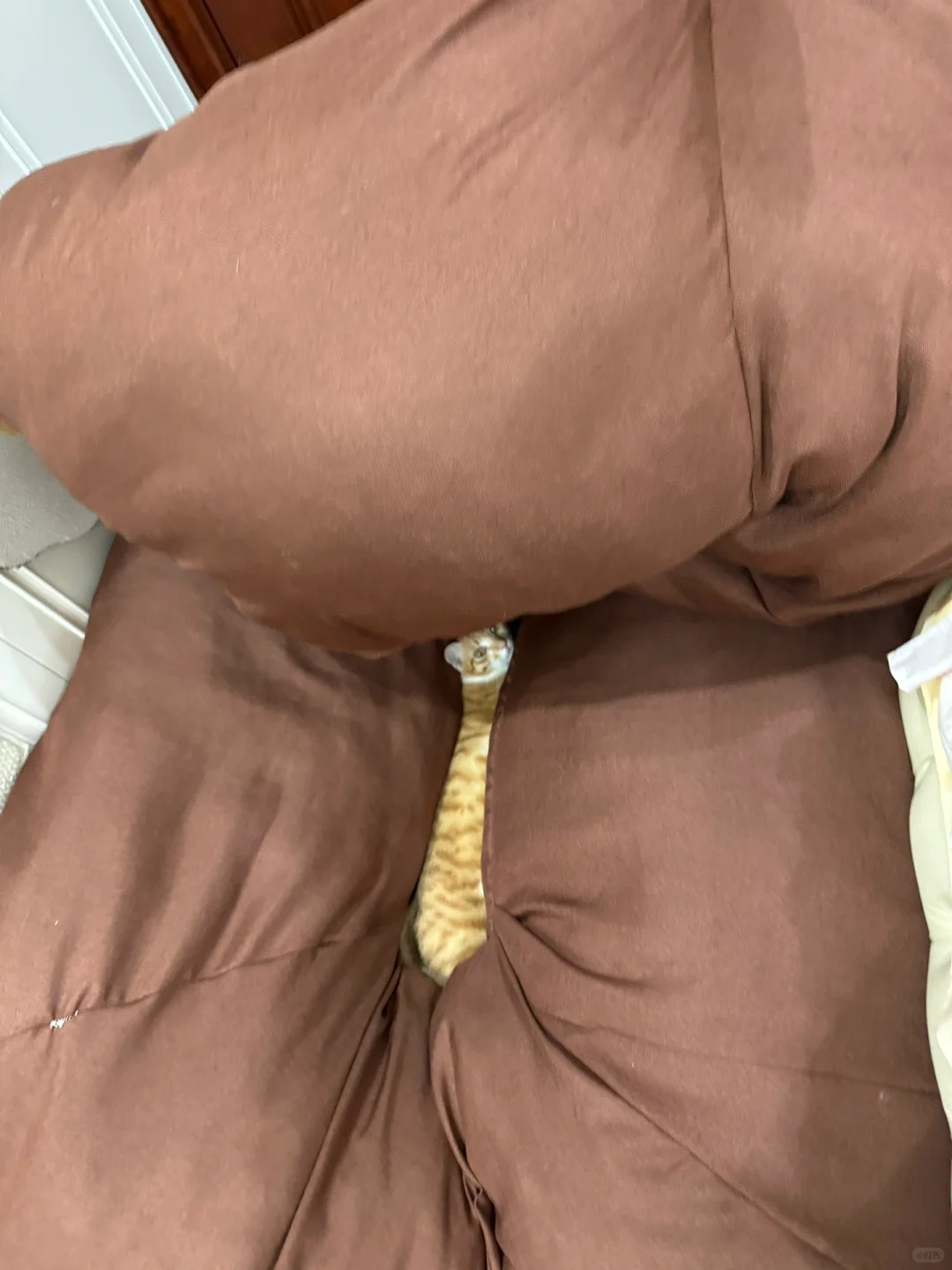 在大大的💩窝里面挖呀挖呀挖
