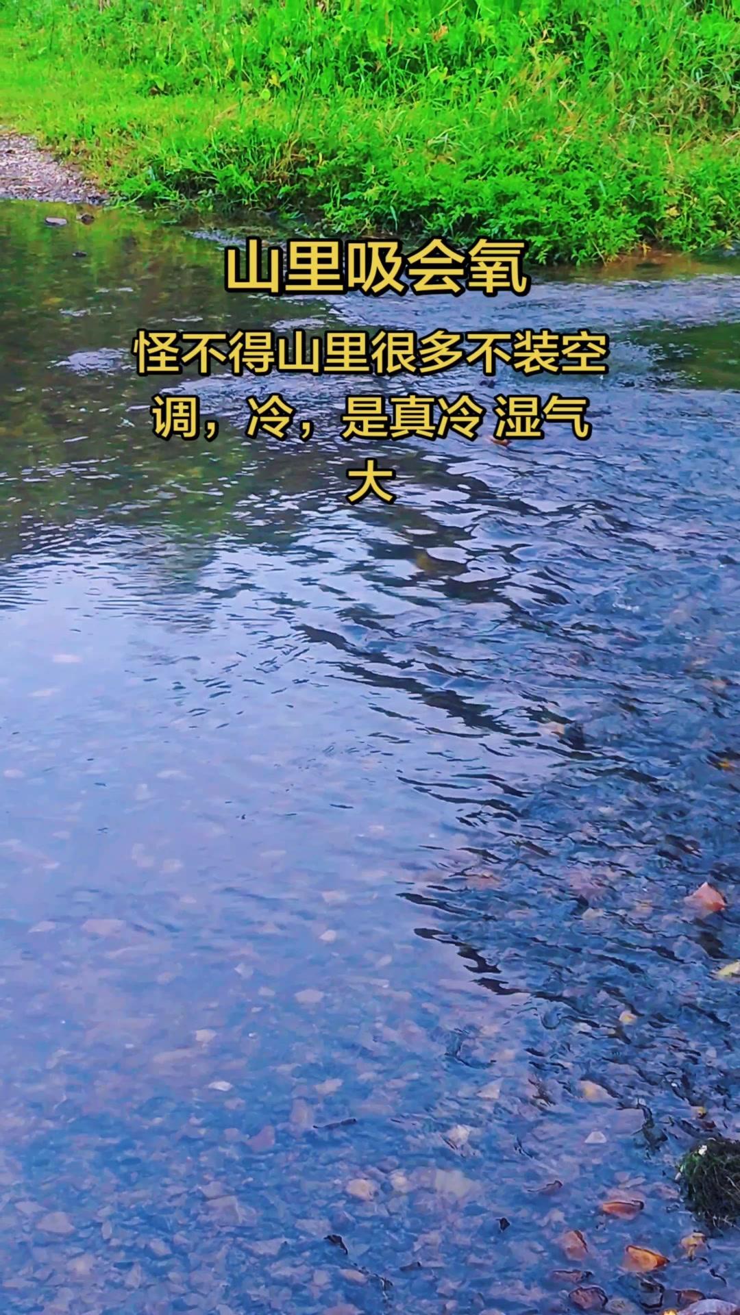 🌬️山里吸氧太治愈了！最近每天都要去山里待两小时，这里的空气清甜得像刚洗过，凉