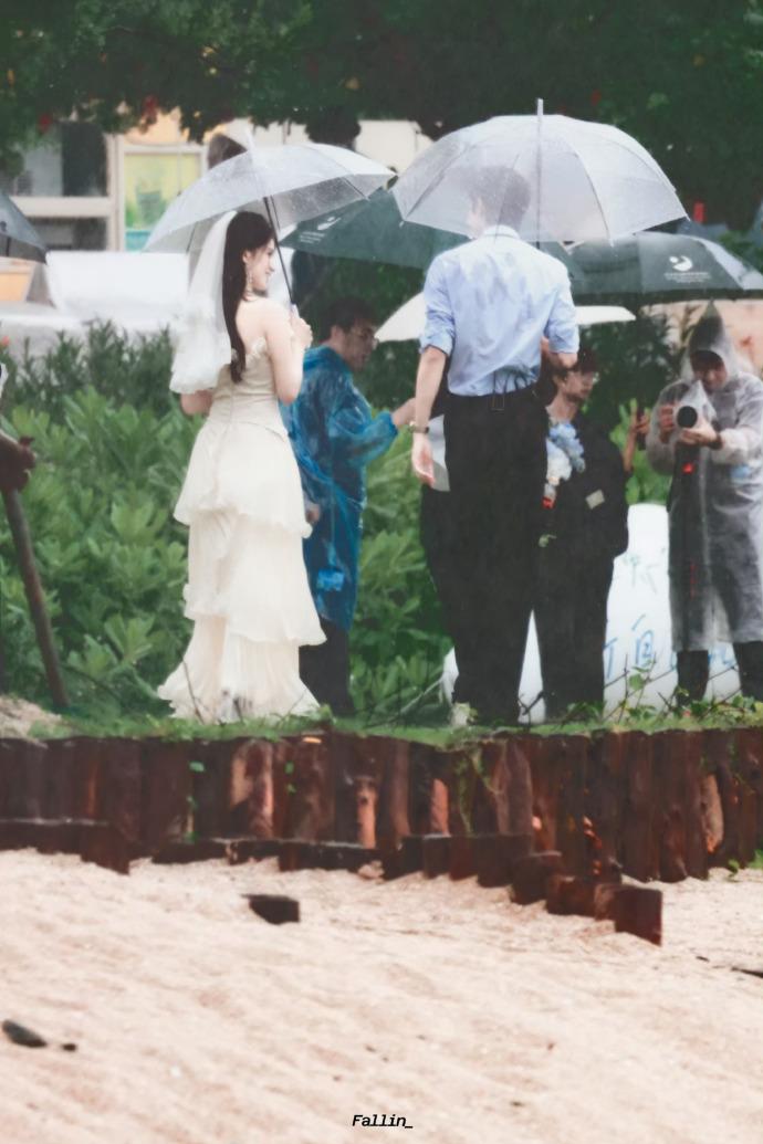 就这么在雨季等着野狗骨头定档，野狗野蛮生长ing宋威龙张婧仪野狗骨头雨中婚礼 ​