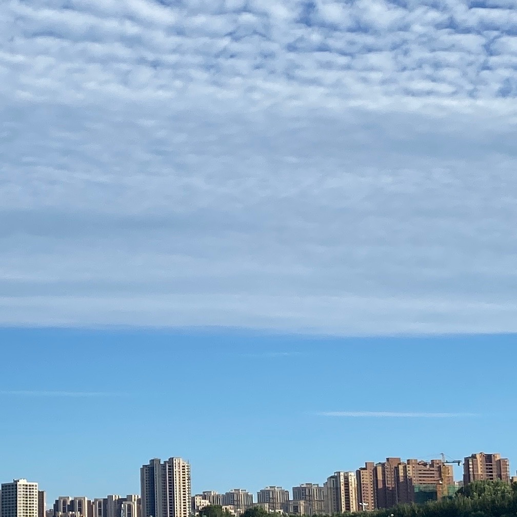书生官家不可为恶，因其为世间之公道良心，若其善心不存，则无道矣。 