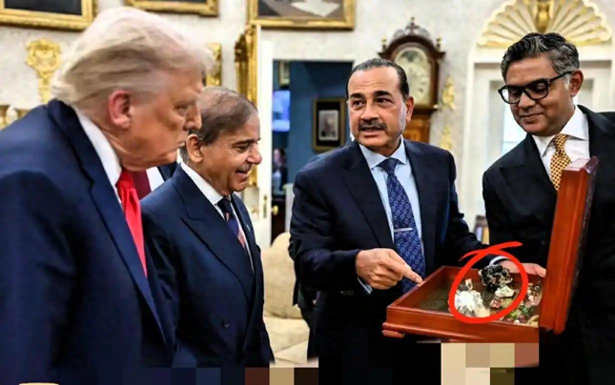 [熊猫]巴基斯坦向美国提供稀土，美国高兴坏了，但巴基斯坦向美国只能提供稀土矿，巴