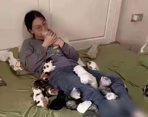 月薪三万的女博士，不愿拿钱帮弟弟结婚，平日里靠着九只小猫陪伴自己。
家人满心不满