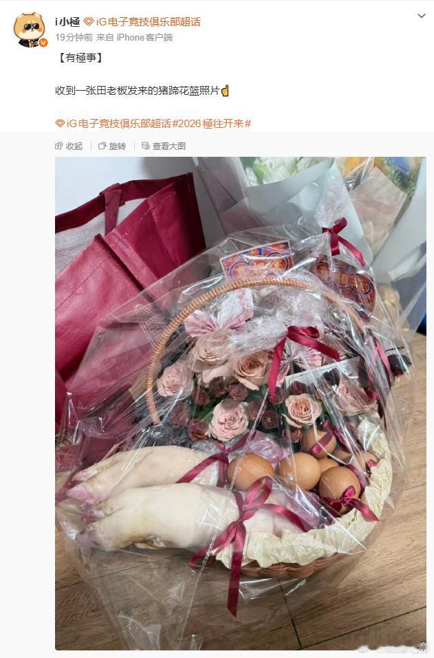 Flandre 携猪蹄花篮探望 Meiko，篮内可见猪蹄、鸡蛋及鲜花。AL 大熊