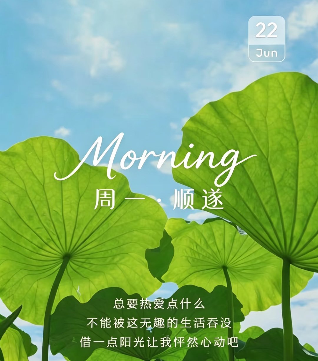 清晨的阳光，不催人赶路，只是轻轻提醒：新的一周开始了，愿我们认真生活，踏实努力，
