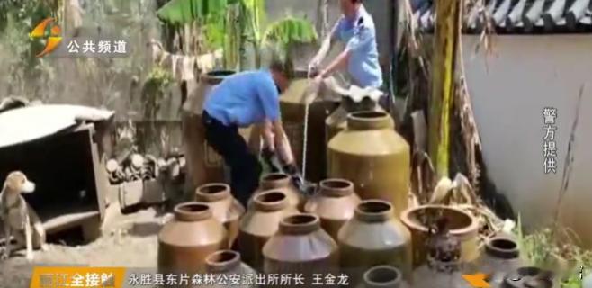 2022年，云南永胜一村民家闯入7条眼镜蛇，在咬死十多只鸡后，竟偷藏在闲置酒缸内