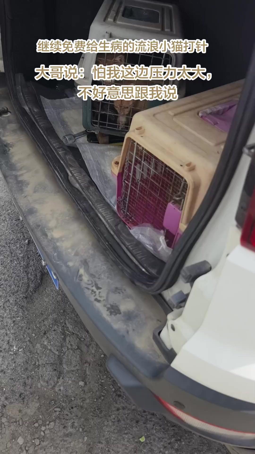 ❤️遇到生病的流浪猫，大哥火速送医，我帮忙打针治疗。每回给毛孩子打针，我都轻声安