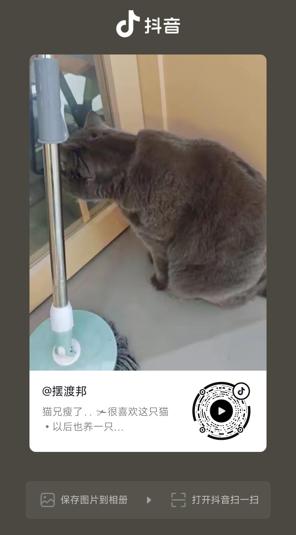 ✃很喜欢这只猫
•以后也养一只
✃养猫也得有那个缘分
•有机会的
•乖巧	
✃这